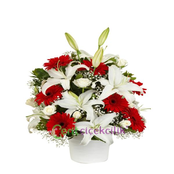  Kemer Çiçekçiler Seramik Vazoda Kırmızı Gerbera Lilyum Aranjman