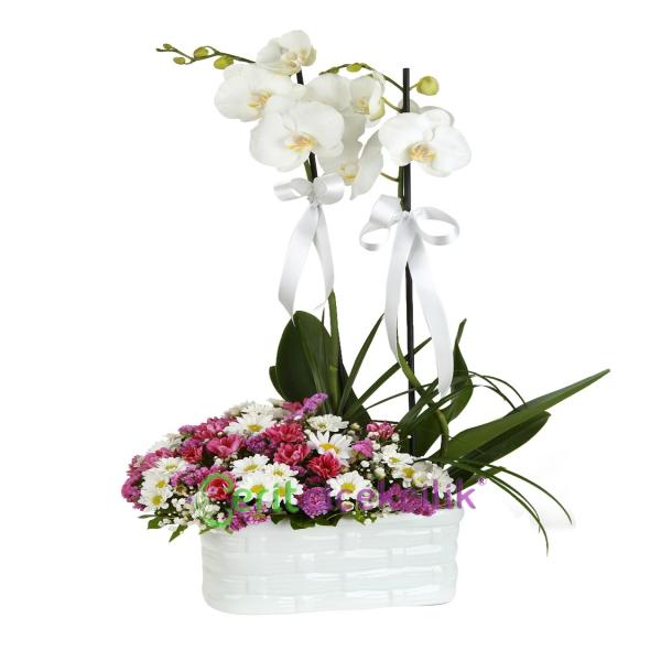 Kemer Çiçek Seramik Vazoda Mevsim Aranjman & Çift Dallı Orkide