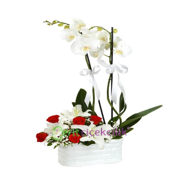  Kemer Çiçek Gönder Seramik Vazoda Orkide & Lilyum Güller