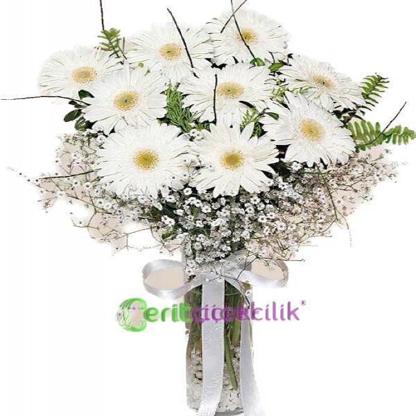 Kemer Çiçekçi Cam Vazoda Beyaz Gerbera 