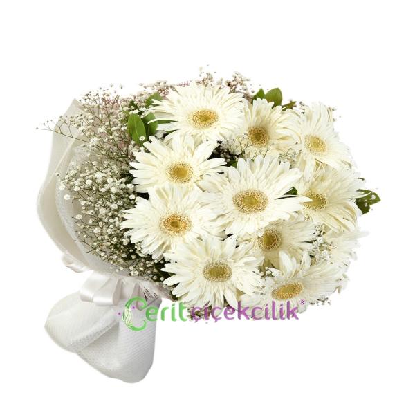  Kemer Çiçek Gönder 11 Adet Beyaz  Celbera Buket