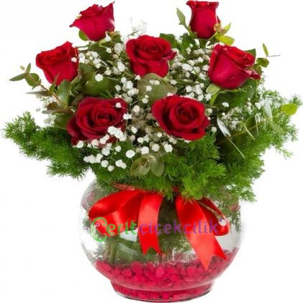  Kemer Çiçek Gönder Akvaryum Vazoda 7 Kırmızı Gül