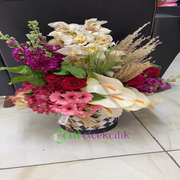 Kutuda Vip Arajman Resim 2