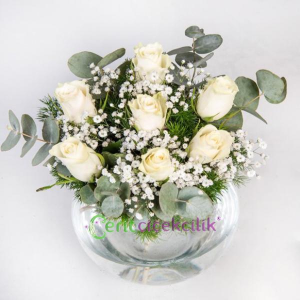Akvaryum Vazoda Beyaz Güller Resim 2