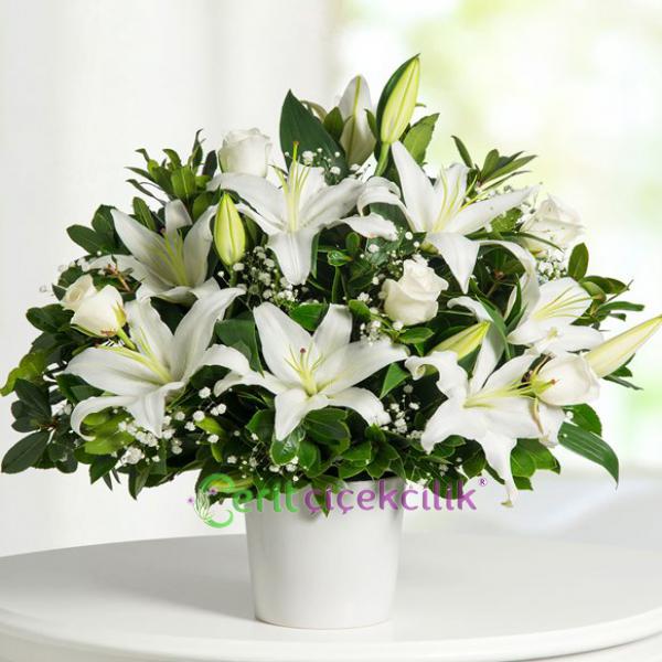  Kemer Çiçekçiler Kar Beyaz Gül ve Lilyum
