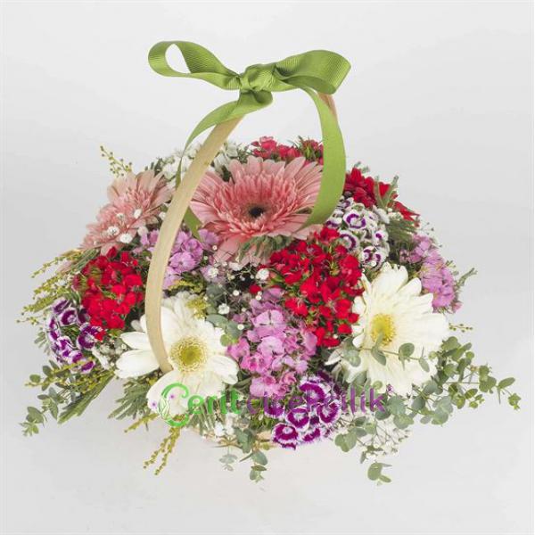 product-media-img