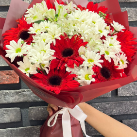  Kemer Çiçek Siparişi Papatya Kırmzı Gerbera  Sevgi Dolu