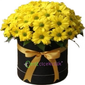 Kemer Çiçekçi - Cam Vazoda Beyaz Gerbera 