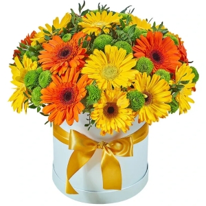  Kemer Çiçek - Beyaz Kutuda Turuncu Sarı Gerbera Arajman