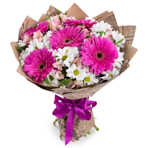Kemer Çiçekçi - Fuşya Güzelliği  Papatya Gerbera 
