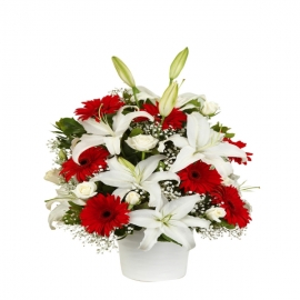  Kemer Çiçekçiler Seramik Vazoda Kırmızı Gerbera Lilyum Aranjman