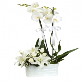  Kemer Çiçek Seramik Vazoda Lilyum Gül Aranjman & Orkide Çift Dallı
