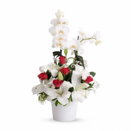  Kemer Çiçek Gönder Mutlu Kalpler 2 Dal Beyaz Orkide Aranjmanı