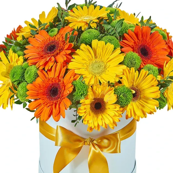 Kemer Çiçek Beyaz Kutuda Turuncu Sarı Gerbera Arajman