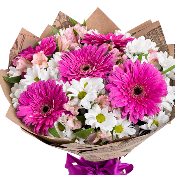  Kemer Çiçek Siparişi Fuşya Güzelliği  Papatya Gerbera 