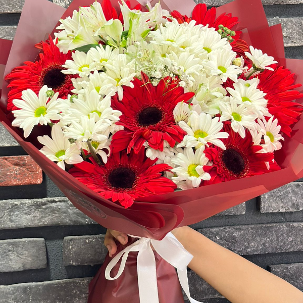 Kemer Çiçek Siparişi Papatya Kırmzı Gerbera  Sevgi Dolu